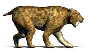We did not find results for: How Saber Tooth Cats Worked Howstuffworks