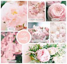 We did not find results for: 42 Spring Flowers Inspired By Pantone Colors Of The Year