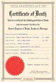 .of fake birth certificate maker as early as possible. Make Your Own Joke Death Certificate