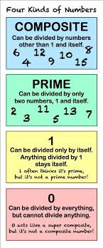 There Are Four Kinds Of Numbers Composite Numbers Prime Numbers 1 And 0 Studying Math Prime And Composite Numbers Everyday Math
