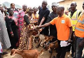 Jos which way forward !!! Photos Nema Donates Goats To Farmers Affected By Jos Crisis Punch Newspapers