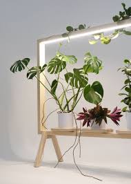 Maybe you would like to learn more about one of these? This Light Up Frame Turns Your Plants Into Art Indoor Plant Lights Plant Decor Indoor Plant Stand Indoor