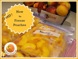 Make sure not to stack the peach slices on each other, otherwise they will stick together. Freezing Peaches How To Freeze Peaches With Or Without Sugar Syrup