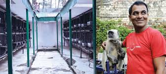 Maybe you would like to learn more about one of these? Out Of Control Why Monkeys Are A Menace