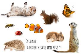1 semestre = 6 mois il y a 52 semaines dans un an, il y a 365 jours dans 1 an, 60 secondes dans 1 minute, 3600 secondes dans une heure, une journée 80% des questions reçoivent une réponse en moins de 10 minutes. Enceinte Combien Mesure Mon Bebe