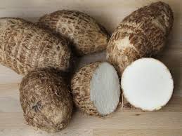 Image result for Dioscorea cayenensis