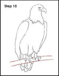 Gambar burung elang salah satu burung eksotik yang dikenal baik di masyarakat yang mempunyai kharisma tersendiri ialah burung elang sudah. 23 Contoh Gambar Kartun Mudah Digambar Kumpulan Sketsa Gambar Burung Elang Hantu Merpati Merak Download Ida Koesoema Idak Gambar Burung Burung Elang Elang