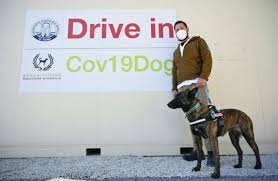 We did not find results for: Italian Dogs Sniff Through Covid 19 Bootcamp
