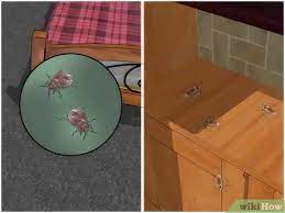 Diy pest control is more than just a fad nowadays. How To Control Pests With Pictures Wikihow