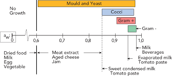 microbiology dairy processing handbook