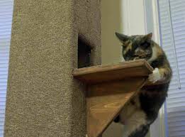 Cat tree plans to make your own cat tree. 8 Diy Cat Tree Plans You Can Get For Free