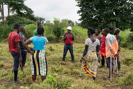We fall and we rise: Some amputees in Sierra Leone turn to farming to  combat discrimination - The Boston Globe