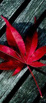 It will also work on your android phone. Free Download Iphone X Autumn Wallpapers Hd 934x2048 For Your Desktop Mobile Tablet Explore 96 Iphone X Wallpaper X 1080p Wallpaper Charizard X Wallpaper Iphone Monsta X Iphone Wallpaper
