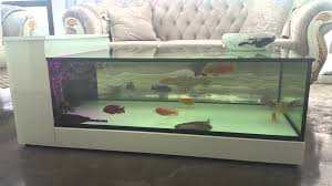 But when it comes to taking thing two steps further and really delivering a 'wow' like no other, you just have to see this outstanding fish tank coffee table! What Is So Special About Fish Tank Coffee Table Fun South Africa Today