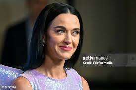 38 Vfl Football Grand Final Stock Photos, High-Res Pictures, and Images