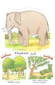 الحيوانات أسمائها طعامها مكان عيشها animals character family guy