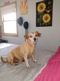 Em cadd9 asus2 cadd9 hey now woo look at that did she nearly run you down em cadd9 asus2 cadd9 em at the end of the drive the lawmen arrive you make me feel alive, alive alive cadd9 asus2 cadd9 em i'll take my chance cause. Ge3oexl6eyaktm