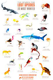 The Top 25 Lost Species Poster By Global Wildlife Conservation Wildlife Conservation Wildlife Conservation In India Species