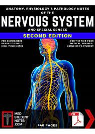 Medishared Org Nervous System Special Senses Notes Facebook