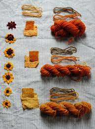Natural Dye From Plants Dandelion Flowers Fiberartsy Com Natural Dye Fabric How To Dye Fabric Botanical Dyeing