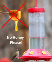 When creating a sugar solution for your feeder, the best ratio is 1 part white, granulated sugar to 4 parts water , since this closely approximates the concentrations found in the nectar of wildflowers they prefer. Hummingbird Food Recipe Make Your Own Nectar