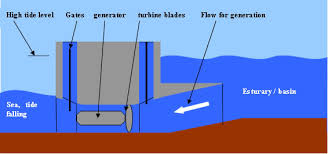 What are the pros and cons of tidal energy? Courses