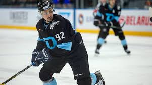 Хит продаж флаг автомобильный зубр (3884) 15,00 руб. Legionery Hk Dinamo Minsk Soglasilis Na Ponizhenie Zarplaty