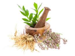 How to store soft/bushy herbs like fresh basil, cilantro, dill, mint or parsley trim the stems (just like you would a bouquet of flowers). Tips Information About General Herb Care Gardening Know How