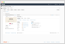 Download wordpress today, and get started on creating your website with one of the most powerful, popular, and customizable platforms in the world. Wordpress Toolkit Cpanel