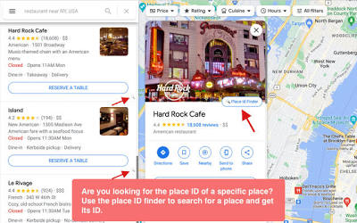 Google Place ID tool