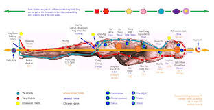 Some Notes On Working With Chakra Energies And Energy Balancing