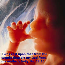 Poem On Abortion Baby S Point Brooklynn Hope Beauregard Facebook