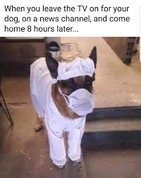All proceeds go to the good karma pet rescue medical fund. Good Karma Puppy Rescue Good Rescue Twitter