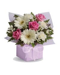 Check spelling or type a new query. Flower Delivery Brisbane Petals Australia