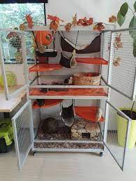 Pet Accessories Diy Rat Toys 45 Ideas For 2019 Diy Rat Toys Rat Cage Rat Cage Diy