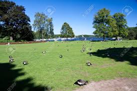 It is open from the end of april to the middle of september. Red Grouse In The Royal Park Djurgarden Stockholm Sweden Stock Photo Picture And Royalty Free Image Image 5143056