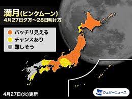 Последние твиты от 輪るピングドラム公式@10周年 (@penguindrum). Wiib6ulr4nltqm
