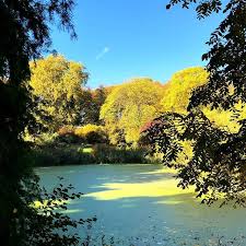 Botanischergarten Munster Im Herbst Botanischer Garten Munster