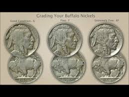 Buffalo Nickel Value Discovery Old Coins Coin Grading Coins