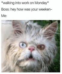 Use these funny monday quotes for instagram captions, facebook posts, texts, emails and more. Funny Monday Memes To Get You Through The Day Home Made From The Finest Of Internets