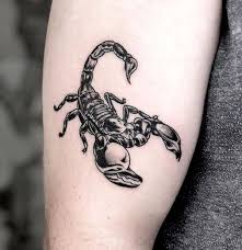 We did not find results for: 68 Scorpio Tattoos For The Mysteriously Attractive Sign