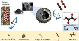 While almost all carbon monoxide detectors will sound the alarm for a high level of carbon monoxide, there is not as much uniformity in terms of the chirping sounds. Production Of Oxalic Acid By Electrochemical Reduction Of Co2 Using Silver Carbon Material From Babassu Coconut Mesocarp Sciencedirect