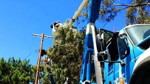 Oncor will deliver the power to your home, regardless of who your retail electricity provider in san benito is. Thousands Without Power In San Benito County