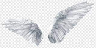 I jun 2nd x by gerry luginbuhl. Wing Butterfly Angel Angel Wings Wings Illustration Blue White Logo Png Pngwing