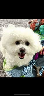 That orphaned baby armadillo spurred a donation movement to the nonprofit!  Love it!