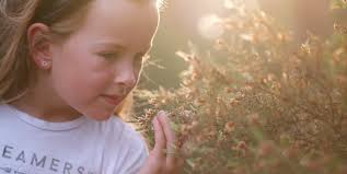 Commercial — Daniel Bolt