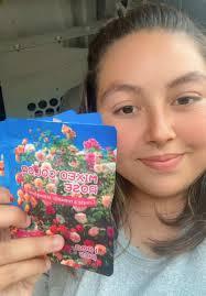 Rose Färben Experiment