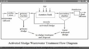Flow Diagram Of Sewage Treatment Biology Microbes In