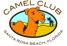 Intimate contemporary home in santa rosa beach, florida. Camelclub Org