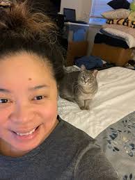 Lost Microchipped Kitty in Country Hollow Area